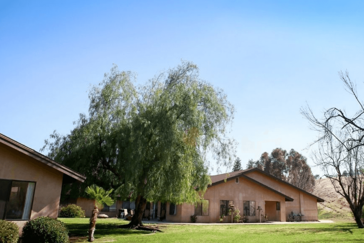 Desktop Background Image